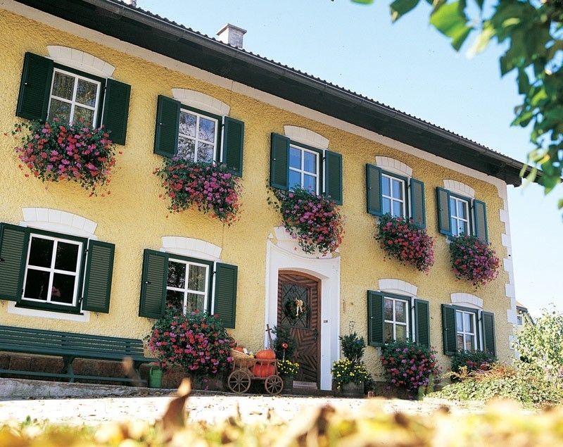 Insektenschutz Sonnenschutz Wien Niederösterreich